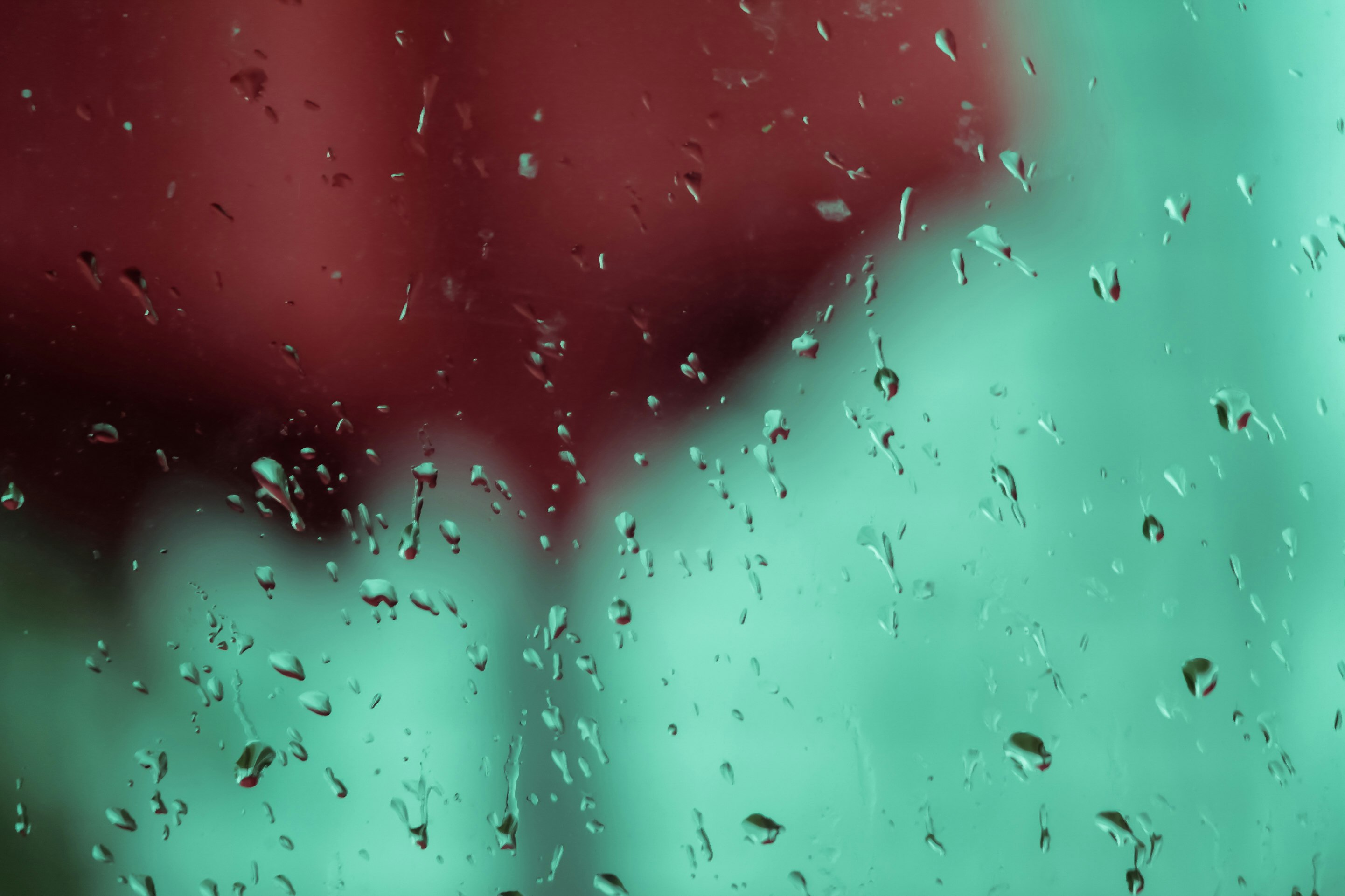shallow focus photography of water droplets